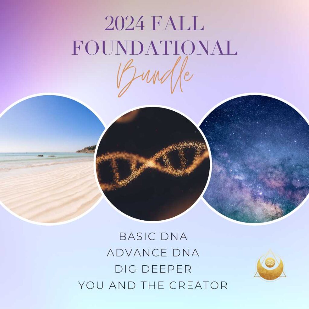 2024 Fall Foundational Bundle